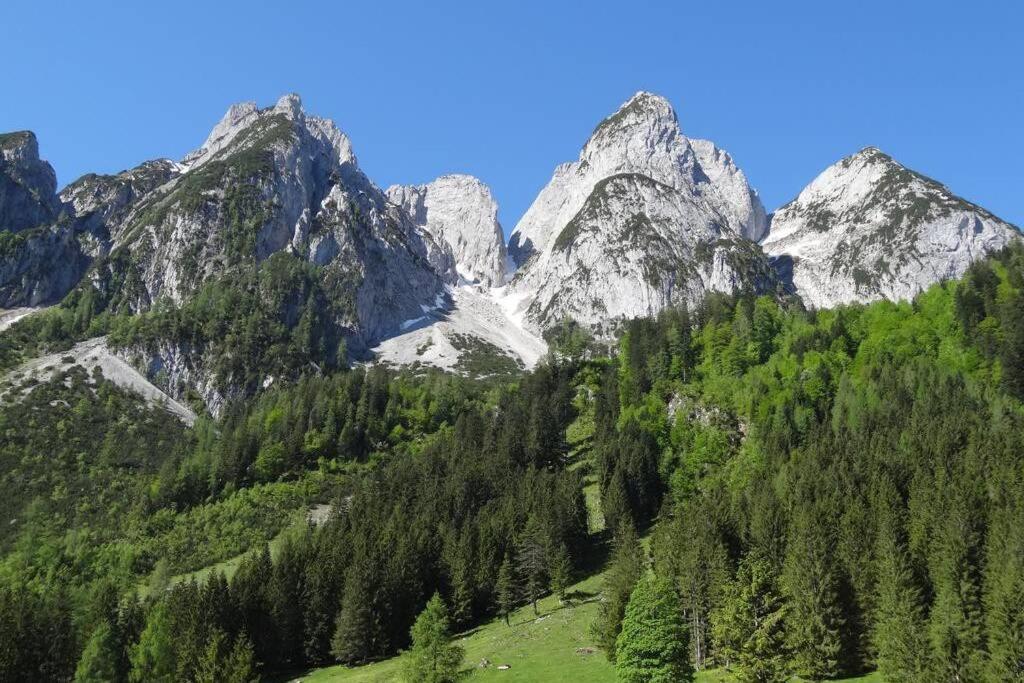 Das Almsternderl - Gemuetliche Wohnung In Gosau Exteriér fotografie