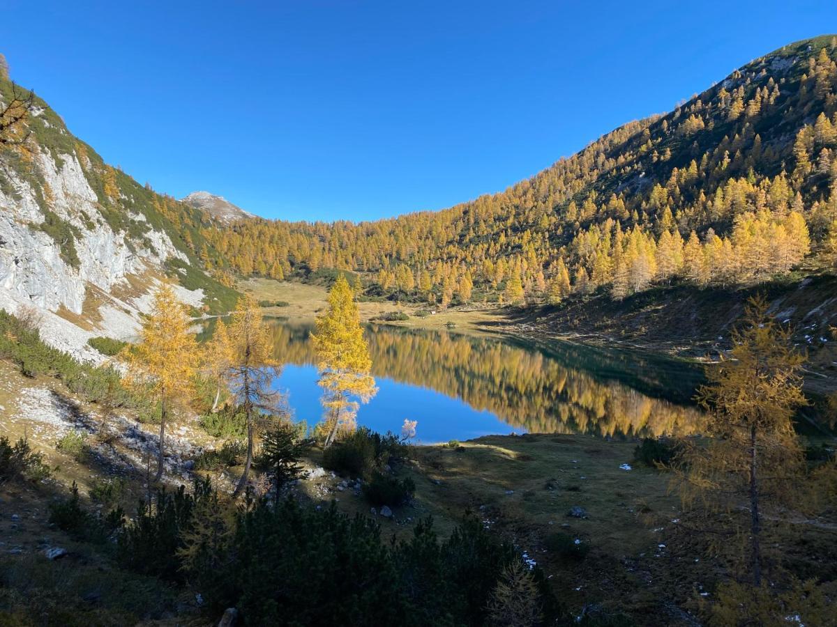 Das Almsternderl - Gemuetliche Wohnung In Gosau Exteriér fotografie