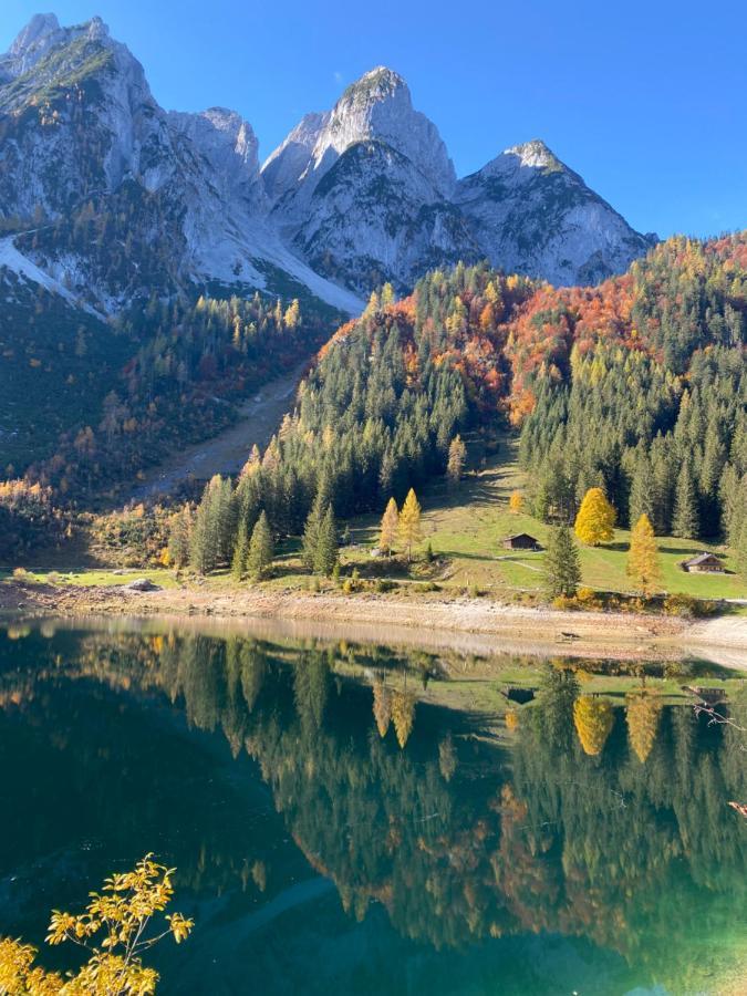 Das Almsternderl - Gemuetliche Wohnung In Gosau Exteriér fotografie