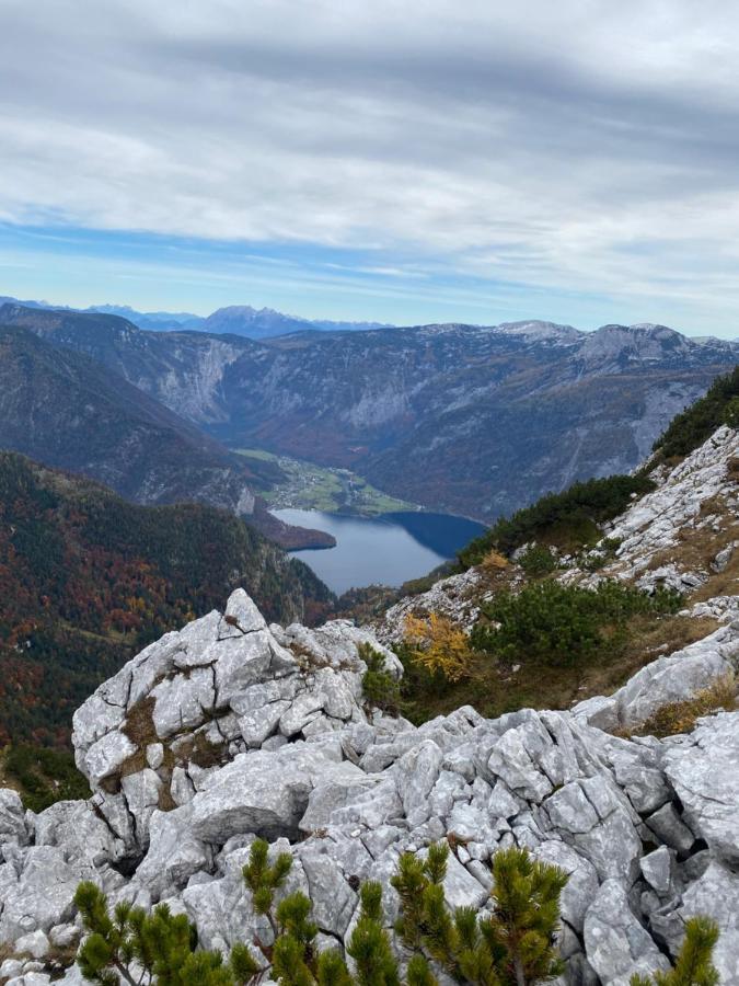 Das Almsternderl - Gemutliche Wohnung In Gosau Exteriér fotografie