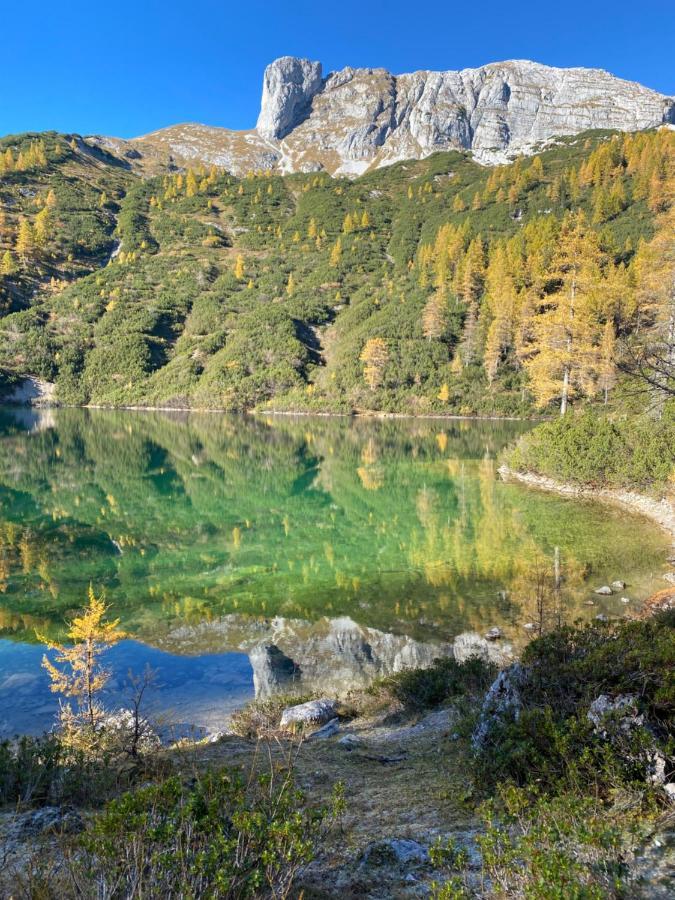 Das Almsternderl - Gemuetliche Wohnung In Gosau Exteriér fotografie