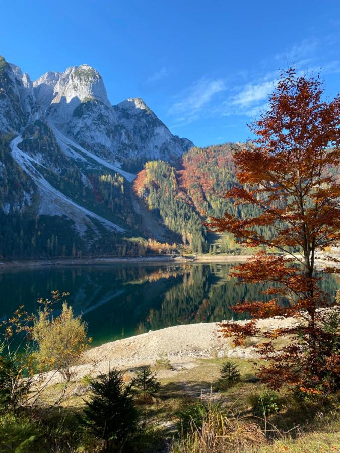 Das Almsternderl - Gemuetliche Wohnung In Gosau Exteriér fotografie
