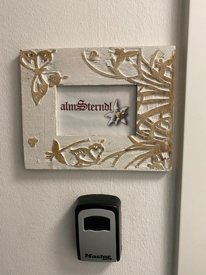 Das Almsternderl - Gemuetliche Wohnung In Gosau Exteriér fotografie