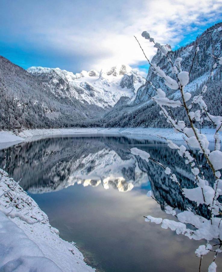 Das Almsternderl - Gemuetliche Wohnung In Gosau Exteriér fotografie